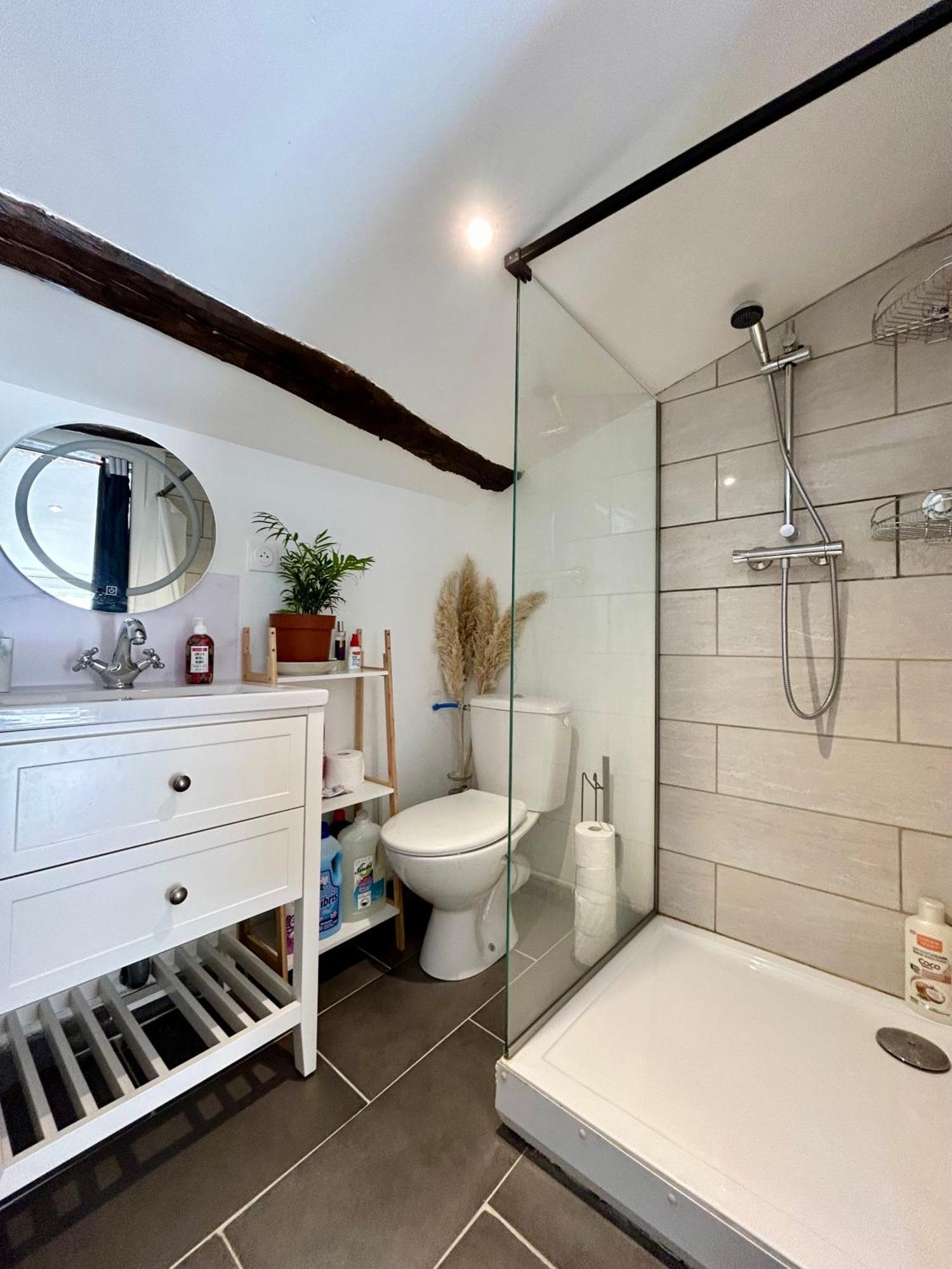 Loft Hortensia Hyper Centre Castres Καστρ Εξωτερικό φωτογραφία
