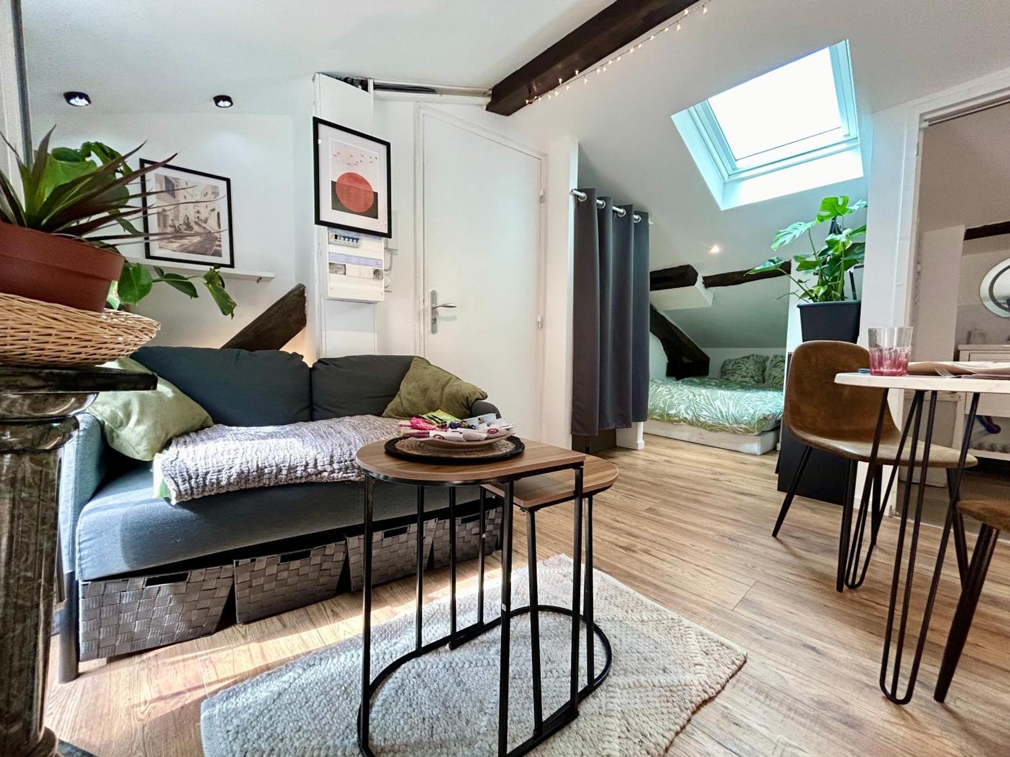 Loft Hortensia Hyper Centre Castres Καστρ Εξωτερικό φωτογραφία