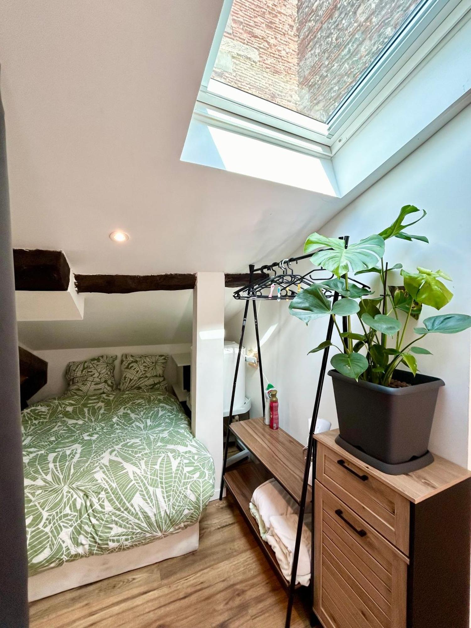 Loft Hortensia Climatise Hyper Centre Castres Καστρ Εξωτερικό φωτογραφία